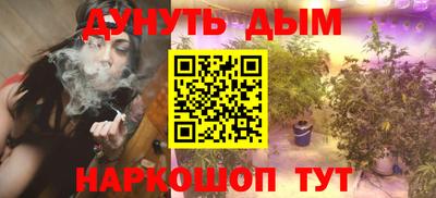 стаф Краснодар