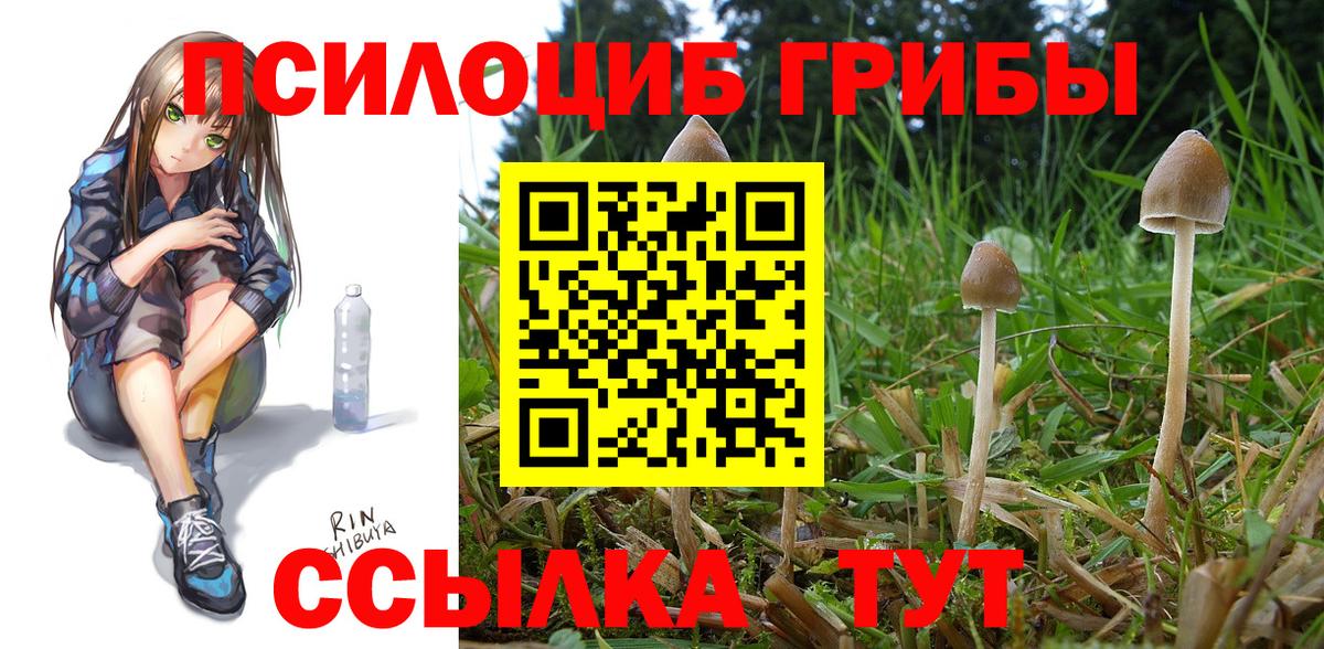 Галлюциногенные грибы мицелий Лобня